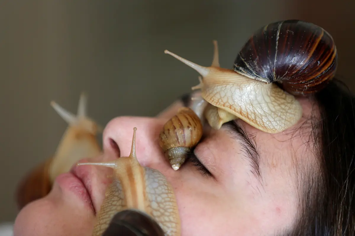 2020-09-17T131247Z-799455264-RC2D0J9HTKEQ-RTRMADP-3-JORDAN-BEAUTY-SNAILS