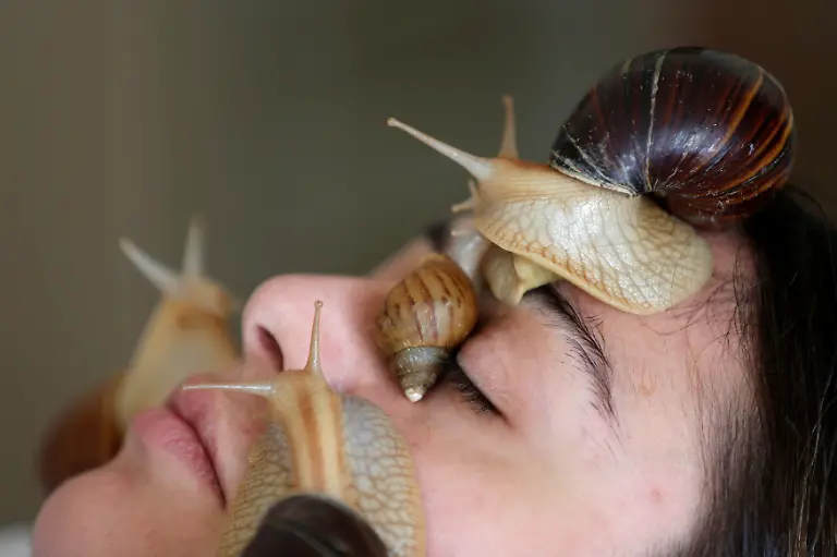 2020-09-17T131247Z-799455264-RC2D0J9HTKEQ-RTRMADP-3-JORDAN-BEAUTY-SNAILS