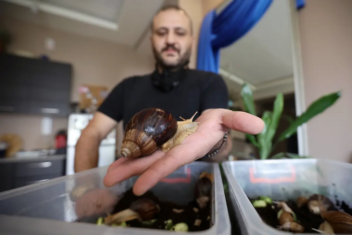 2020-09-17T132549Z-1631289531-RC2D0J9VHH64-RTRMADP-3-JORDAN-BEAUTY-SNAILS