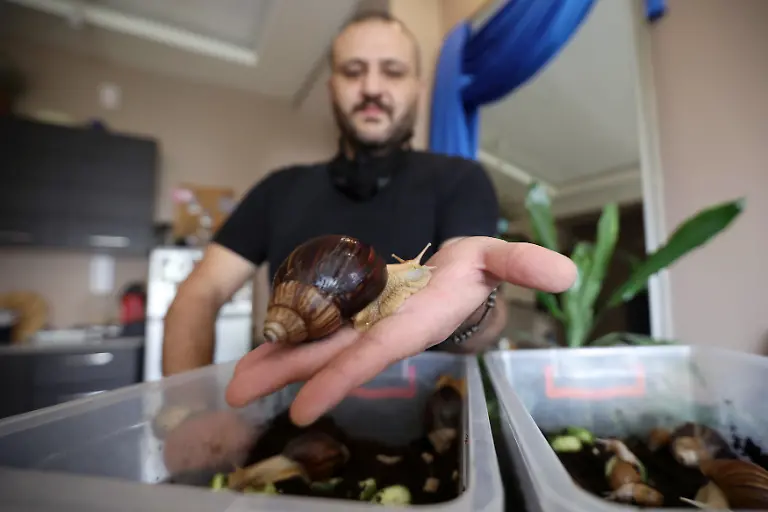 2020-09-17T132549Z-1631289531-RC2D0J9VHH64-RTRMADP-3-JORDAN-BEAUTY-SNAILS