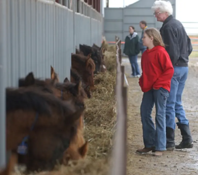 So-muss-sich-die-Behoerde-um-mittlerweile-30-000-eingefangene-Tiere-kuemmern-Das-ist-kostenintensiv