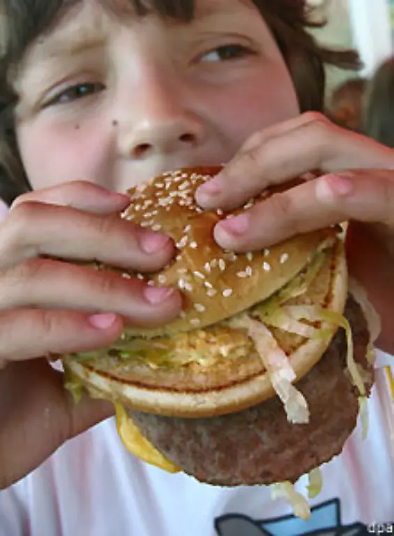 Selbst-ein-Hamburger-mit-Rinderbulette-benoetigt-noch-2-400-Liter-virtuelles-Wasser
