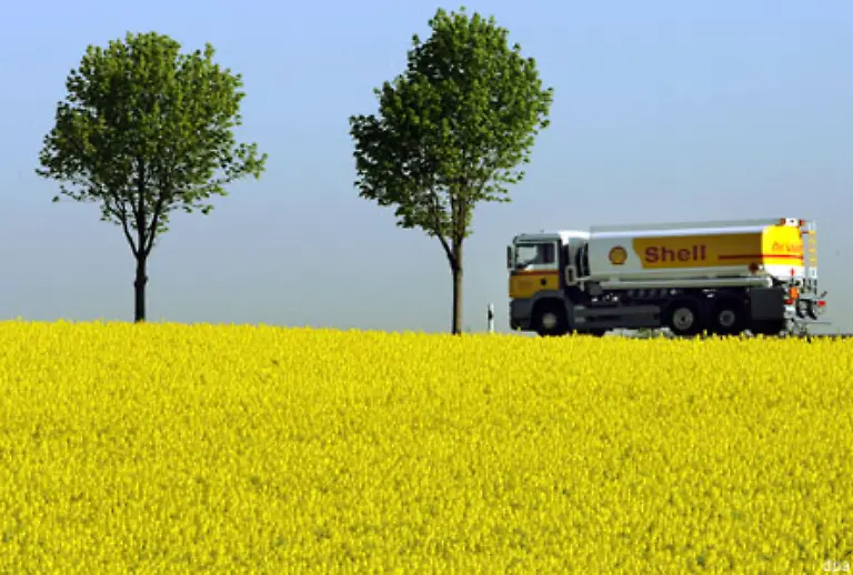 Hinzu-kommen-noch-neue-Wasserfresser-Fuer-die-Produktion-eines-Liters-Bioethanol-werden-beispielsweise-zwischen-4-500-bis-5-000-Liter-Wasser-benoetigt-in-den-Tropen-sind-es-deutlich-mehr