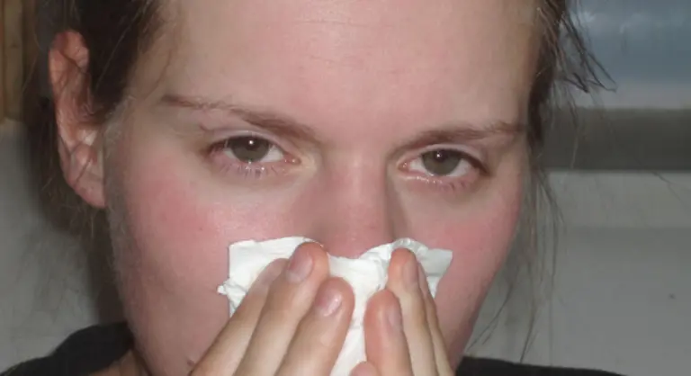 Bereits-sechs-Pollen-pro-Kubikmeter-reichen-aus-um-allergische-Reaktionen-auszuloesen
