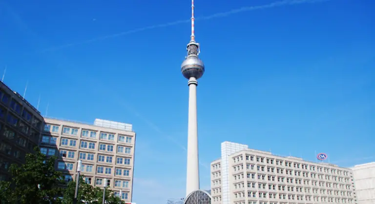 Die-Buerger-in-Berlin-beispielsweise-sind-dazu-aufgerufen-die-Pflanze-aktiv-zu-bekaempfen-allerdings-sollten-Vorsichtsmassnahmen-dringend-eingehalten-werden