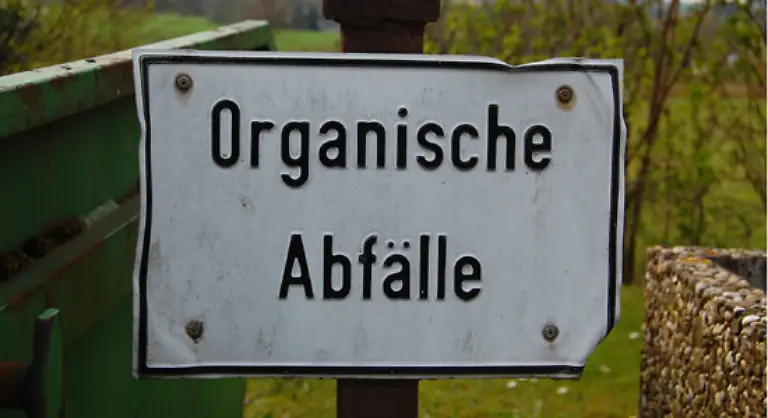 Die-ausgerissenen-Pflanzen-duerfen-auf-keinen-Fall-auf-dem-Kompost-landen-da-die-Samen-mehrere-Jahre-im-Boden-ueberleben-koennen