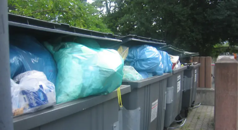 Sie-muessen-stattdessen-in-reissfesten-Plastiksaecken-mit-dem-Hausmuell-entsorgt-werden