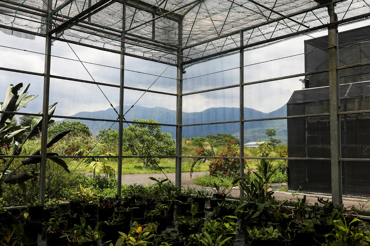 Im-Botanic-Conservation-Center-in-Pingtung1