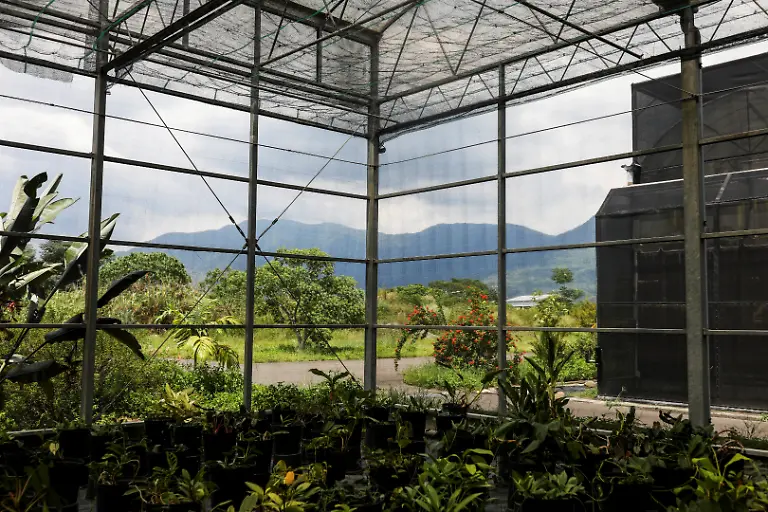 Im-Botanic-Conservation-Center-in-Pingtung1