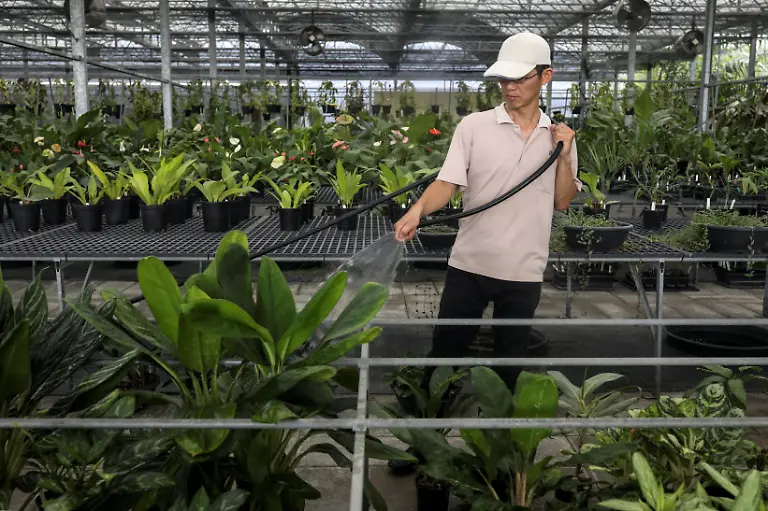 Im-Botanic-Conservation-Center-in-Pingtung-Aufzuchtstation