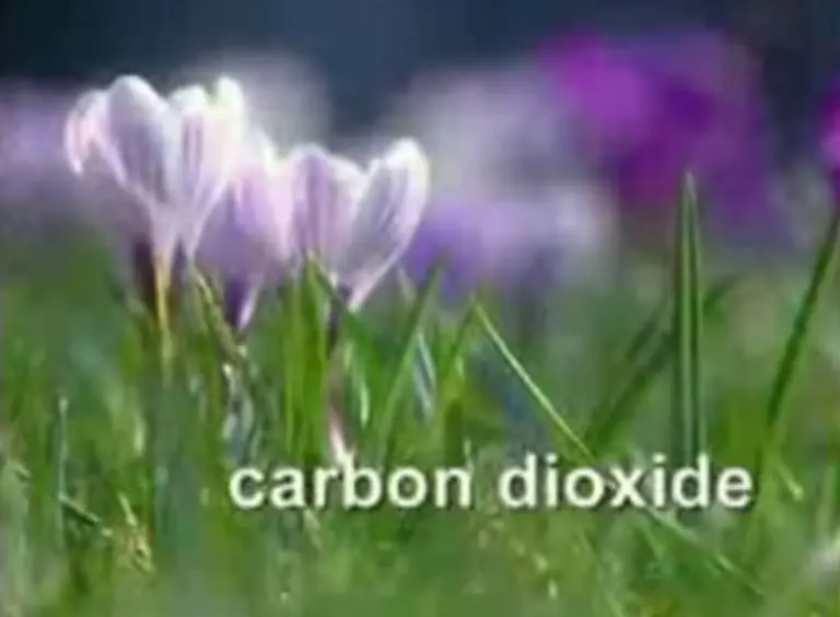 In-einer-Reihe-von-reichlich-grotesken-TV-Spots-hiess-es-allen-Ernstes-Kohlendioxid-Die-nennen-es-Verschmutzung-wir-nennen-es-Leben-Denn-die-Kraftstoffe-die-CO2-freisetzen-haben-uns-aus-einer-Welt-der-Knochenarbeit-befreit-unser-Leben-erleuchtet