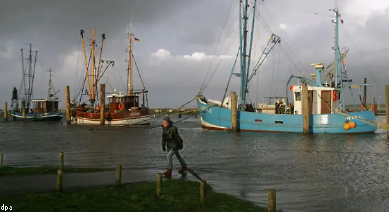 erklaert-Daniela-Jacob-vom-Hamburger-Max-Planck-Institut-fuer-Meteorologie-Jacob-hat-zusammen-mit-ihren-Kollegen-die-bislang-umfassendste-Klimasimulation-fuer-Deutschland-geschaffen-Unter-dem-Namen-Remo-Regionalmodell-fuellt-sie-riesige-Festplattenstapel