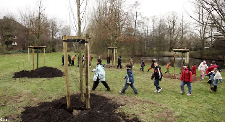 und-ein-paar-Baeume-pflanzen