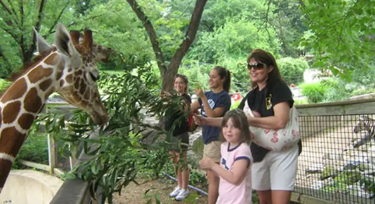 Die-Mutter-von-fuenf-Kindern-gilt-als-stramm-konservativ