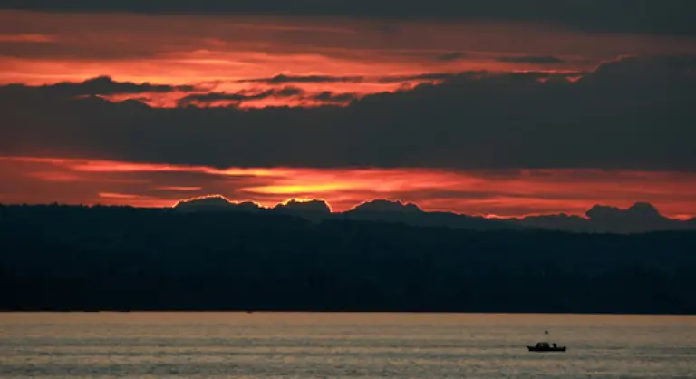 am-westlichen-Bodensee-abgeschossen-werden