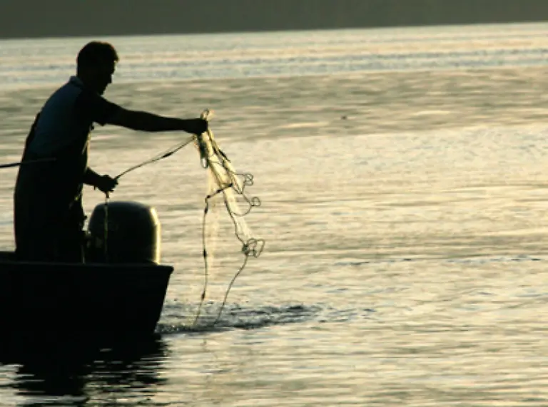 dass-die-Netze-der-Bodenseefischer-immer-oefter-leer-bleiben