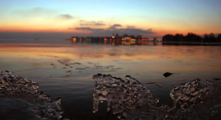 Aus-diesem-Grund-liegt-auch-die-Abschusssaison-in-diesem-Zeitraum