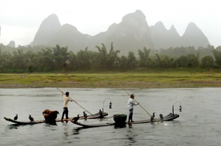 Das-Kormoranfischen-ist-so-in-China-zur-Touristenattraktion-geworden