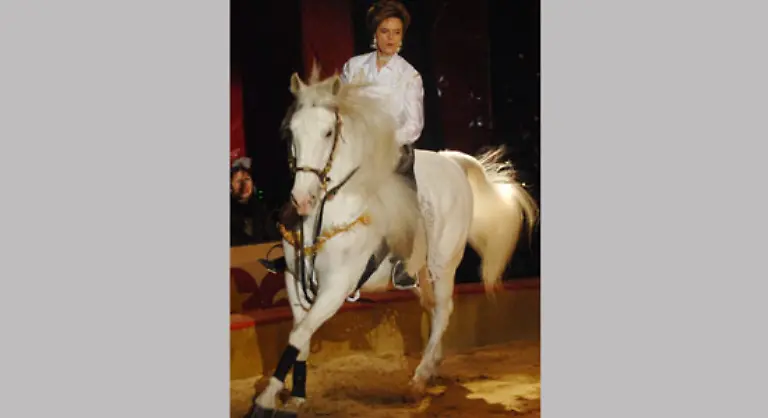 Weiter-mit-Gloria-Afrikanern-empfehle-sie-Treue-als-bestes-Mittel-gegen-Aids