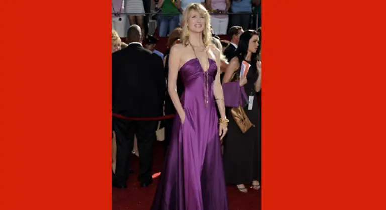 Bei-Laura-Dern-sieht-man-im-Hintergrund-die-Dame-die-ihre-farblich-passende-Stola-traegt-falls-es-im-klimatisierten-Inneren-doch-zu-kuehl-fuer-die-zarten-Schultern-wird