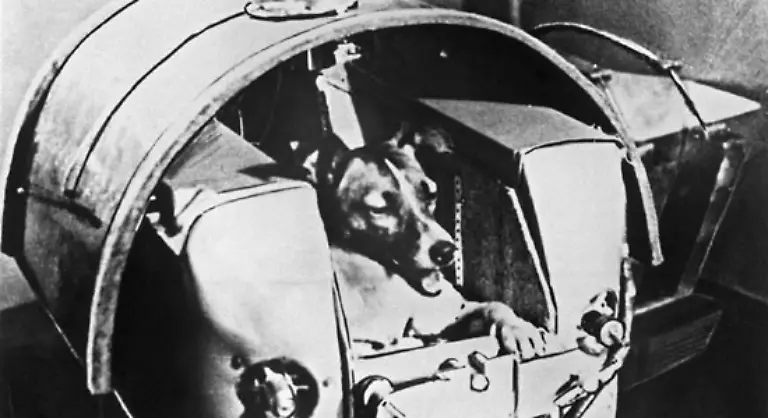 Und-auch-nicht-das-Gefuehl-von-einer-aus-technischer-Sicht-belaechelten-Nation-ausgebootet-zu-werden