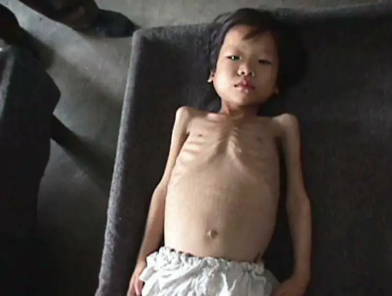 Schaetzungen-zufolge-verhungerten-in-den-neunziger-Jahren-in-Nordkorea-bis-zu-3-5-Millionen-Menschen