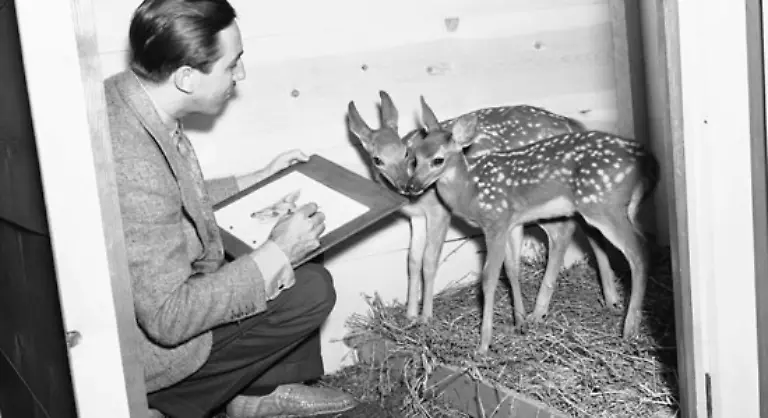 Bei-manchen-Frauen-wirkt-es-schon-wenn-sie-nur-an-Bambi-denken