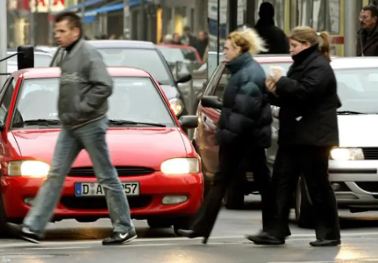 Diese-sind-daemmerungsaktiv-und-somit-zur-gleichen-Zeit-wie-die-Berufspendler-unterwegs