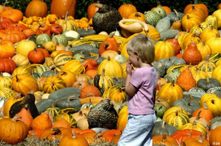 Im-Gegensatz-zu-diesen-eher-religioes-aufgeladenen-Umzuegen-ist-Halloween-kommerziell-erfolgreich-und-bundesweit-zu-vermarkten