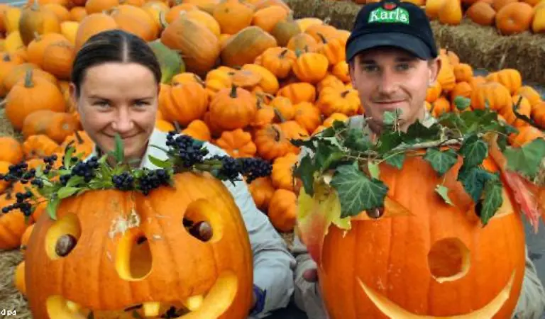 Kulturpessimisten-und-die-evangelische-Kirche-sind-von-Halloween-nicht-begeistert-Die-grinsenden-Kuerbisse-sind-hohl-es-ist-nichts-dahinter-sagt-etwa-Landesbischof-Johannes-Friedrich