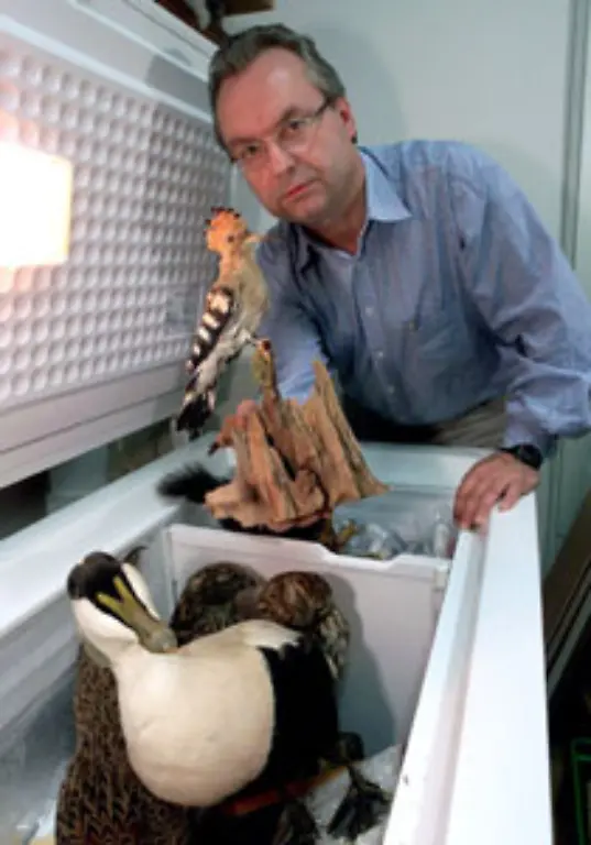 Oeffnen-Sie-Kuehl-und-Gefrierschraenke-nur-kurz-Wie-so-oft-im-Leben-verkuerzt-auch-hier-Ordnung-die-Suchzeit