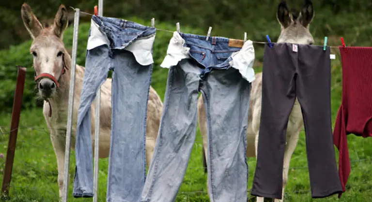 Fuer-alle-anderen-gilt-Trocknen-Sie-die-Waesche-einfach-an-der-Luft