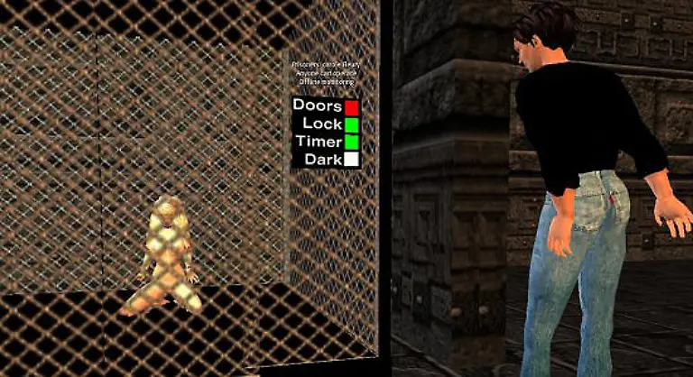 Manche-Sklaven-werden-sogar-in-Kaefige-mit-Zeitschaltuhr-gesteckt