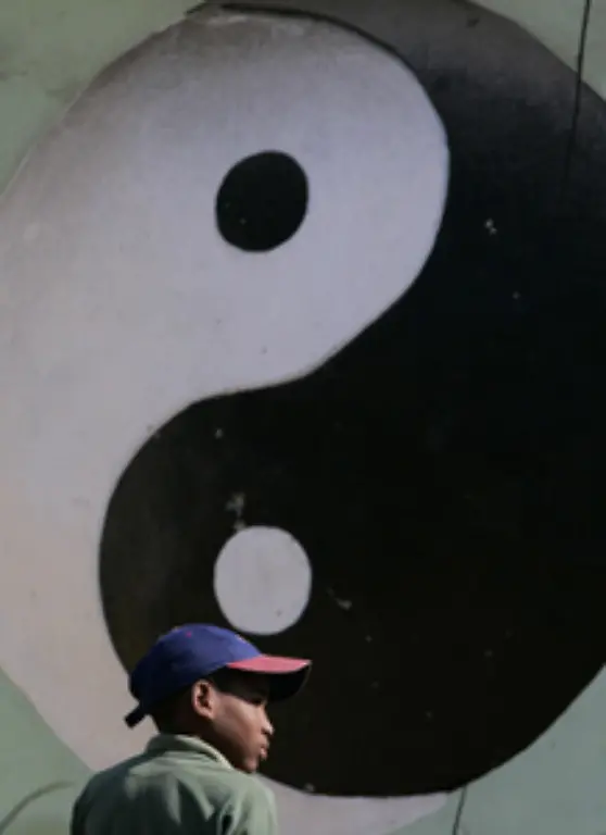 Die-auch-in-der-westlichen-Welt-bekannten-Begriffe-Yin-und-Yang-sind-ein-wichtiger-Bestandteil-chinesischer-Philosophie