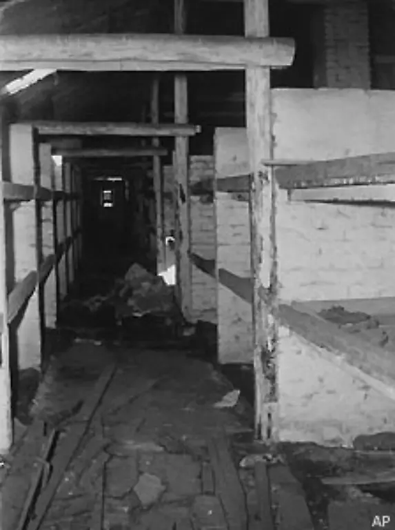 Etwa-1-1-Millionen-Menschen-wurden-in-Auschwitz-ermordet-Der-Plan-war-Realitaet-geworden