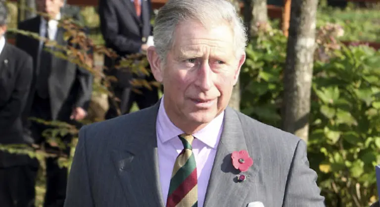 It-s-not-easy-being-Charles-indeed