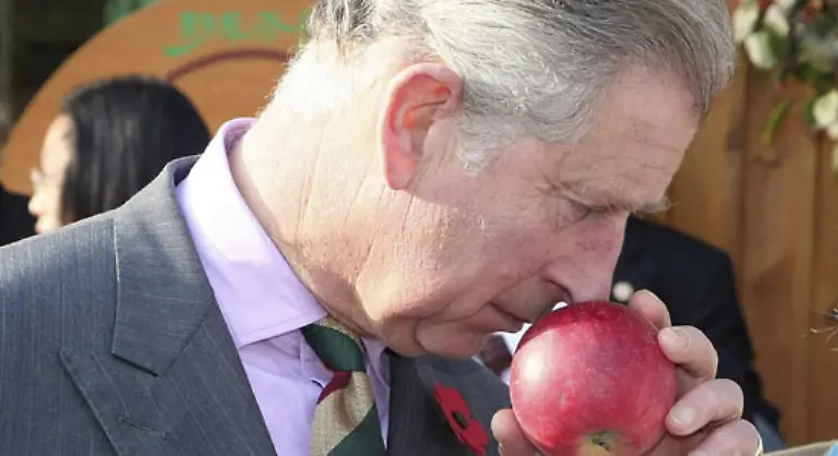 Im-Gegenzug-teilte-sie-keine-von-Charles-Leidenschaften-Statt-den-Garten-umzugraben