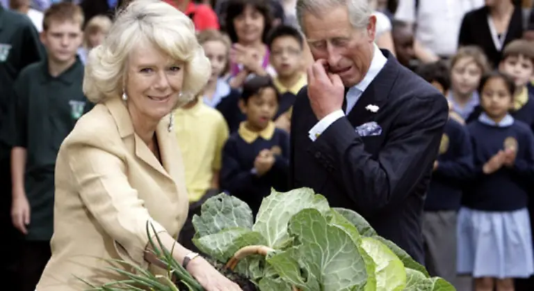 die-all-das-liebte-was-Charles-liebte