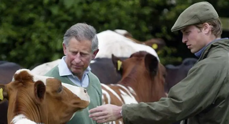Sein-Engagement-reicht-von-der-Bio-Landwirtschaft-Charles-vertreibt-auch-seine-eigene-Oeko-Marke
