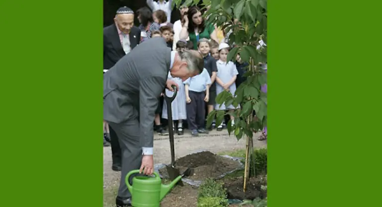 Architektur-und-Staedtebau