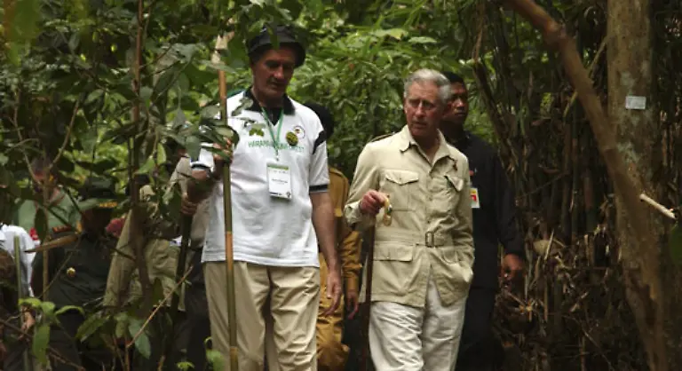 bis-zum-Klima-und-Regenwaldschutz