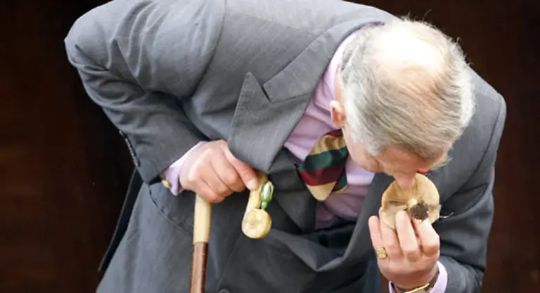 und-dessen-Traum-vom-Thron-platzen-laesst-ist-wenig-realistisch