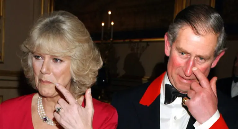 Und-dann-gibt-es-ja-noch-die-von-Camilla-geplante-Party-im-kleinen-Kreis-75-Gaeste