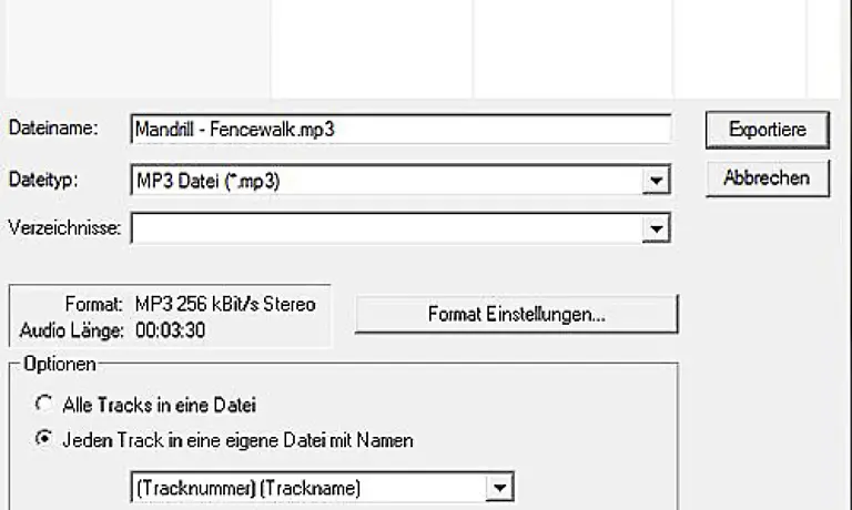 Achten-Sie-unbedingt-darauf-dass-Jeden-Track-in-eine-eigene-Datei-mit-Namen-markiert-ist-Dann-klicken-Sie-auf-Format-Einstellungen