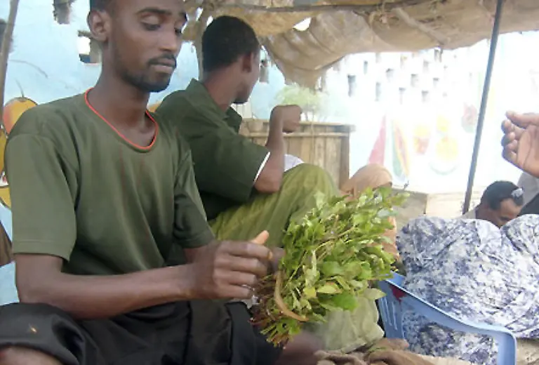 Somalia-Heimat-der-meisten-Piraten-ist-seit-dem-Beginn-des-Buergerkrieges-1991-ein-Land-mit-chaotischen-Verhaeltnissen