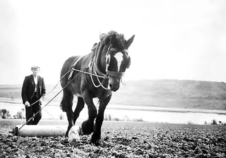 1848-waehrend-der-Hungersnot-in-Irland-bricht-Patrick-Kennedy-in-die-USA-auf-und-lernt-auf-der-Fahrt-seine-spaetere-Frau-Bridget-kennen-Sie-bekommen-vier-Kinder