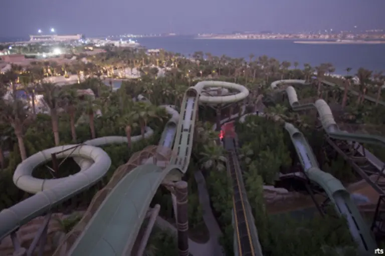 Die-koennen-sich-in-der-ueppigen-Wasserlandschaft-vergnuegen