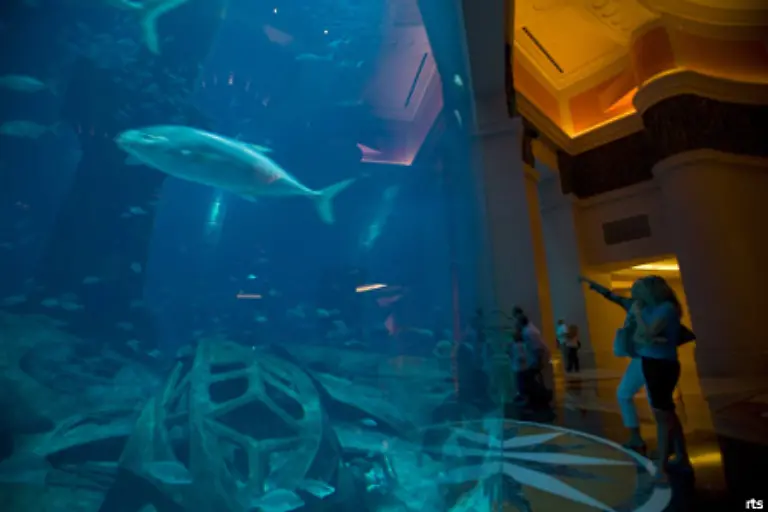 oder-das-Aquarium-im-Inneren-des-Hotels