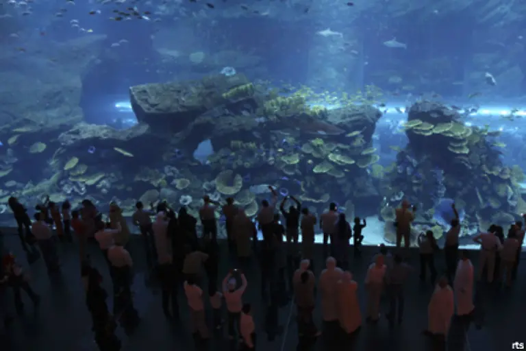 Auf-einer-Grundflaeche-von-ungefaehr-50-Fussballfeldern-bietet-es-Platz-fuer-ueber-500-Geschaefte-ein-Aquarium