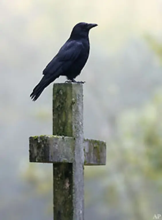 Bettler-Gaukler-und-Schauspieler-hatten-beispielsweise-keinen-Platz-auf-geweihten-Kirchhoefen
